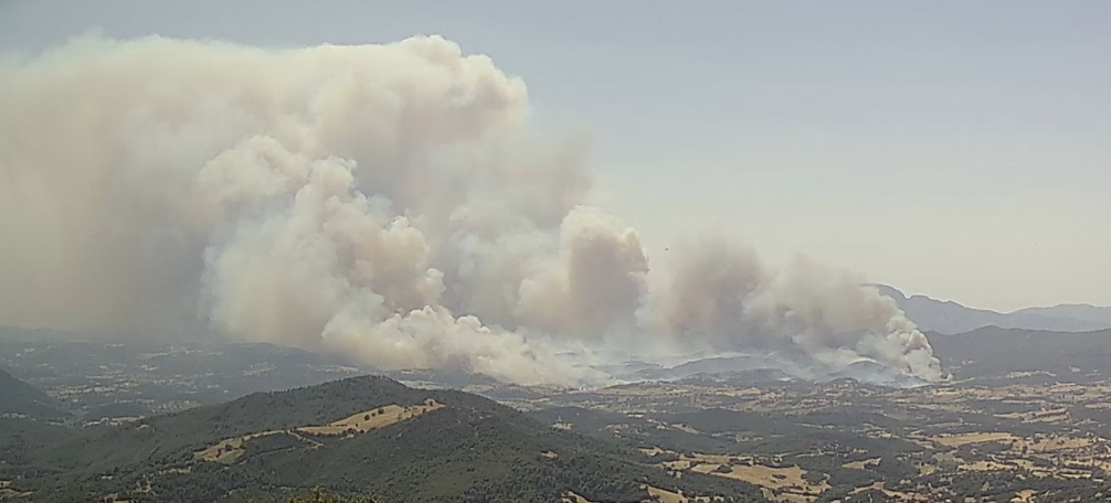 Πυρκαγιά σε αγροτοδασική έκταση στην περιοχή Μαστραντώνη Αχαΐας